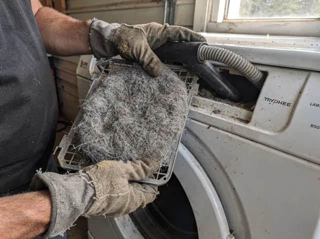 Cleaning Dryer Lint Trap in Winthrop